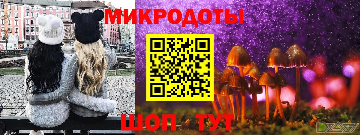 Галлюциногенные грибы Psilocybine cubensis  Галлюциногенные грибы GOLDEN TEACHER  Вход с VPN  Славянск-на-Кубани 
